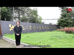 εισαγωγή της εταιρείας