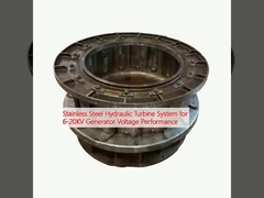 Συστήματα υδραυλικών τουρμπίνων από ανοξείδωτο χάλυβα για την απόδοση τάσης γεννήτριας 6-20KV