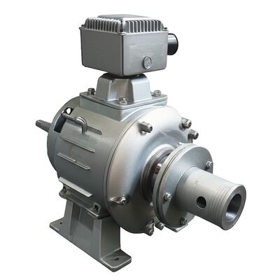 Μικροϋδροηλεκτρικός Στρόβιλος για Μικρής Κλίμακας Υδροηλεκτρικά Έργα με Ισχύ 50kw-20mw και Εύρος Τάσης 400v-6300v