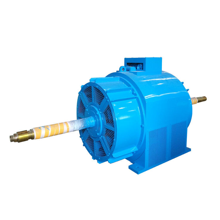 Υδροηλεκτρική τουρμπίνα γεννήτρια 700kW με σφυρήλατο χαλύβδινο άξονα και υδρόψυξη για έργα ανανεώσιμων πηγών ενέργειας