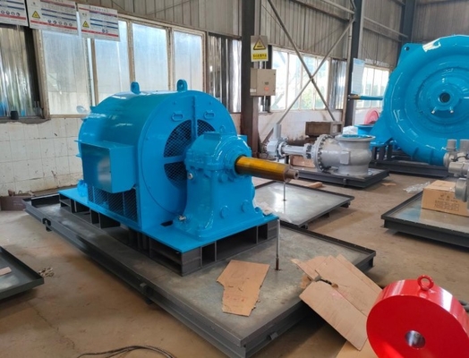 300kw μίνι υδροηλεκτρικός οριζόντιος σφυρηλατημένος χάλυβας γεννητριών 400v